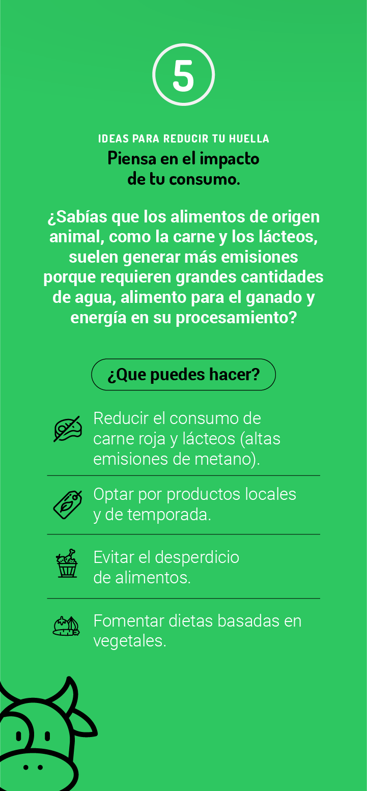 Idea 5 móvil